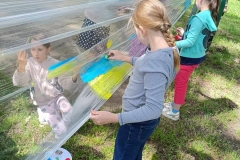 445958326_1935568080219982_1723800268245315184_n