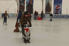 6ff3808c-2553-4c98-9693-32fe5cd62922