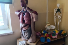 1a3b5c36-8a8d-4f0f-bec6-57f2a6d1a3b3