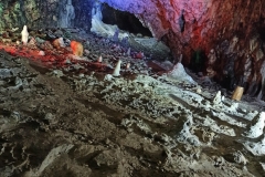 IMG_20240522_133352_901x1200