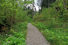 IMG_20240523_101922_901x1200