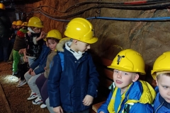 Messenger_creation_281D89D9-406B-4E8C-96B0-0123DF14C0FD_900x1200