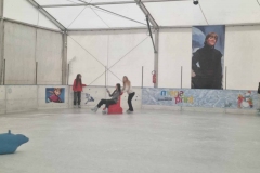 43d00803-db06-4345-b295-1aa6a304c7d8