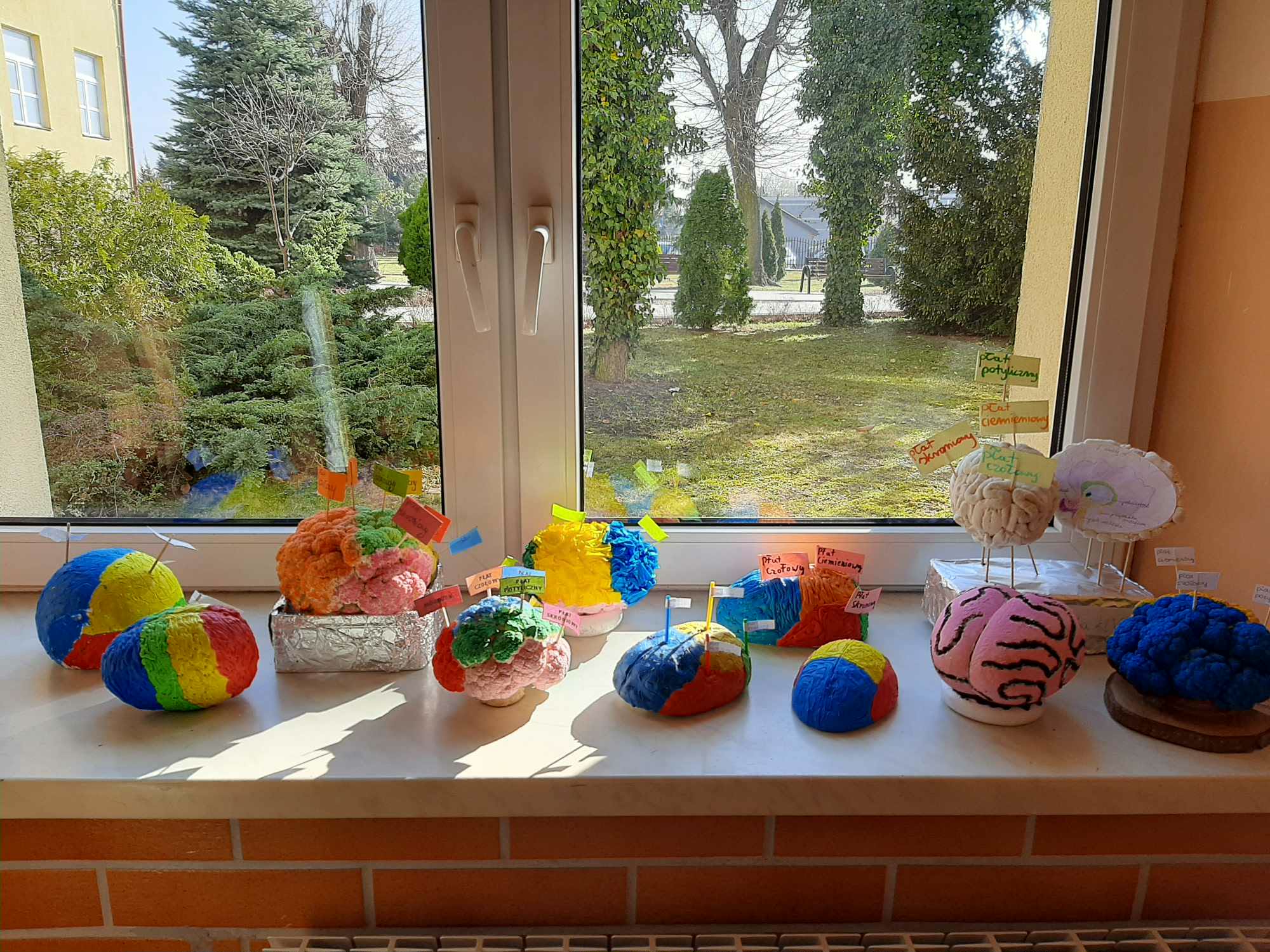 Tydzień Mózgu 2026