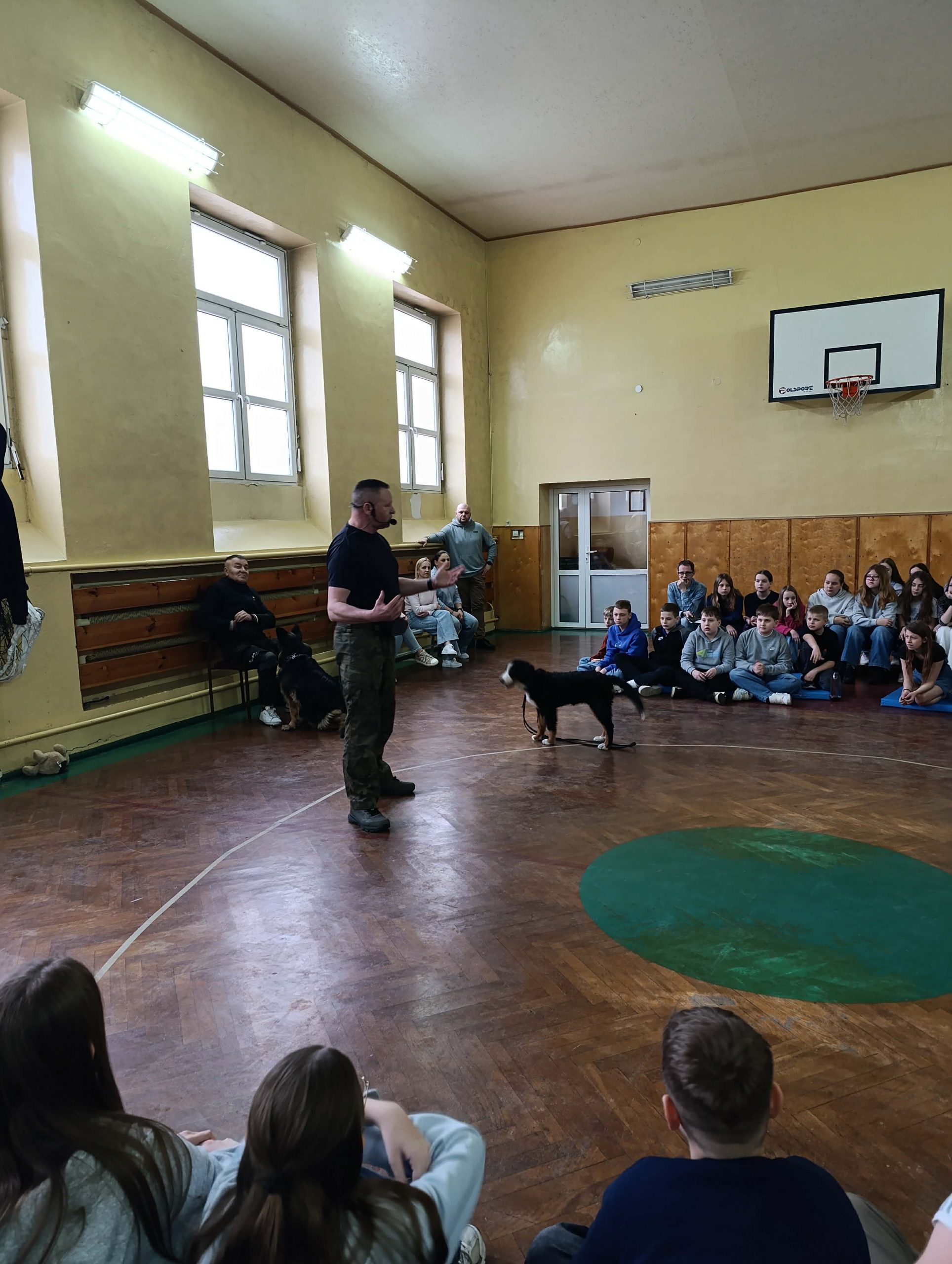 Szkolenie obronne przeciwko agresji psów